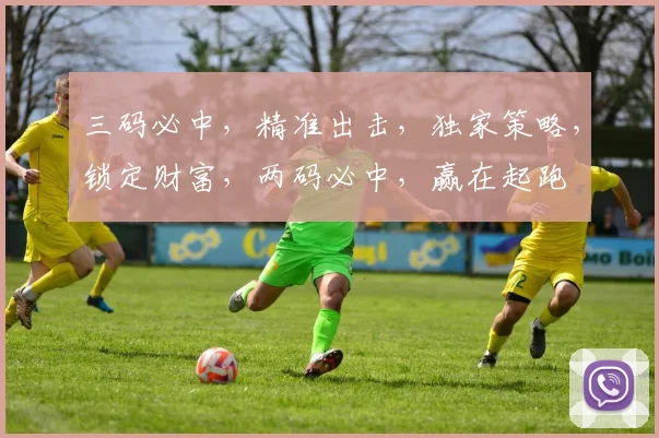 三码必中，精准出击，独家策略，锁定财富，两码必中，赢在起跑