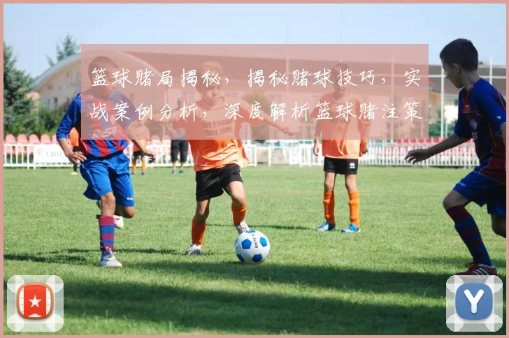 篮球赌局揭秘，揭秘赌球技巧，实战案例分析，深度解析篮球赌注策略，必看