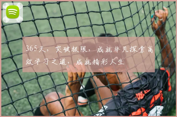 365天，突破极限，成就非凡探索高效学习之道，成就精彩人生