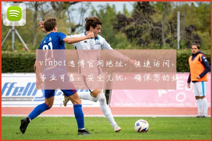 vinbet浩博官网地址，快速访问，专业可靠，安全无忧，确保您的娱乐体验