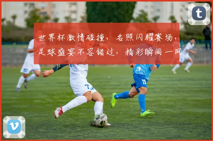 世界杯激情碰撞，名照闪耀赛场，足球盛宴不容错过，精彩瞬间一网打尽