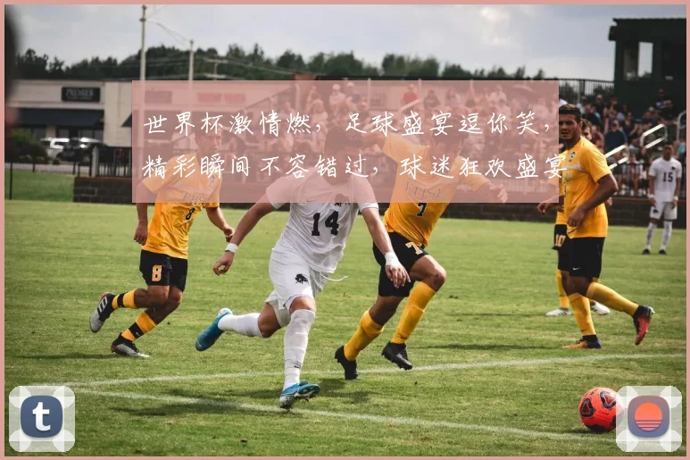 世界杯激情燃，足球盛宴逗你笑，精彩瞬间不容错过，球迷狂欢盛宴