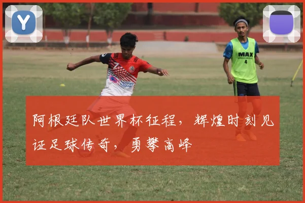 阿根廷队世界杯征程，辉煌时刻见证足球传奇，勇攀高峰